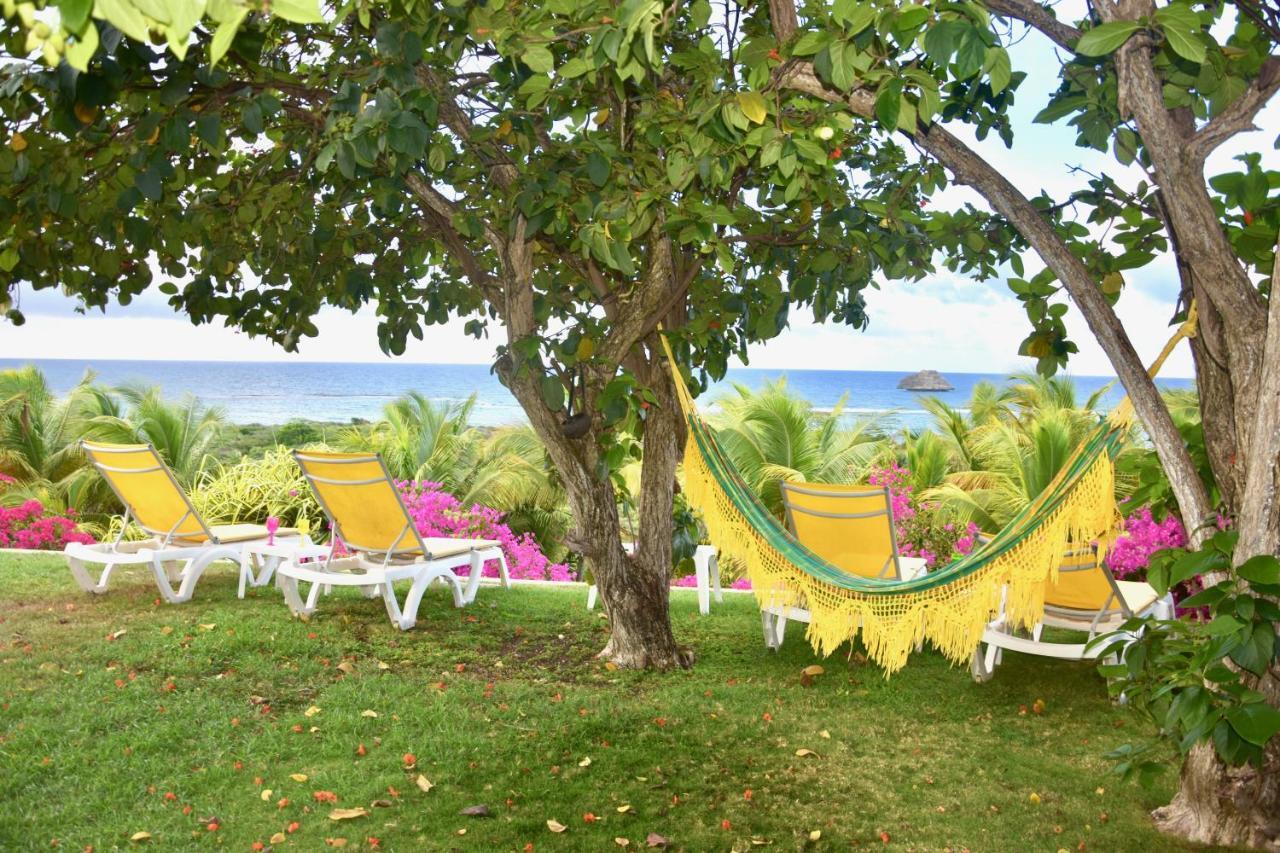 Villa Guadeloupe Saint Francois Acces Mer Piscine Iguana Bay - Villa Zagadi Exterior foto