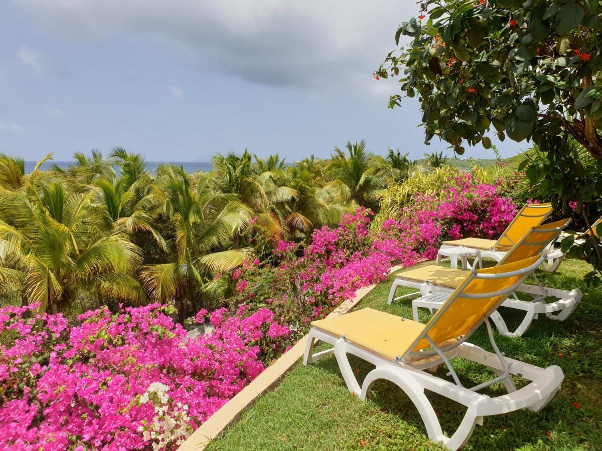 Villa Guadeloupe Saint Francois Acces Mer Piscine Iguana Bay - Villa Zagadi Exterior foto
