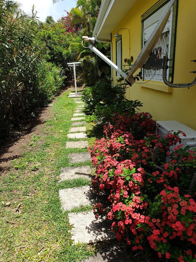 Villa Guadeloupe Saint Francois Acces Mer Piscine Iguana Bay - Villa Zagadi Exterior foto